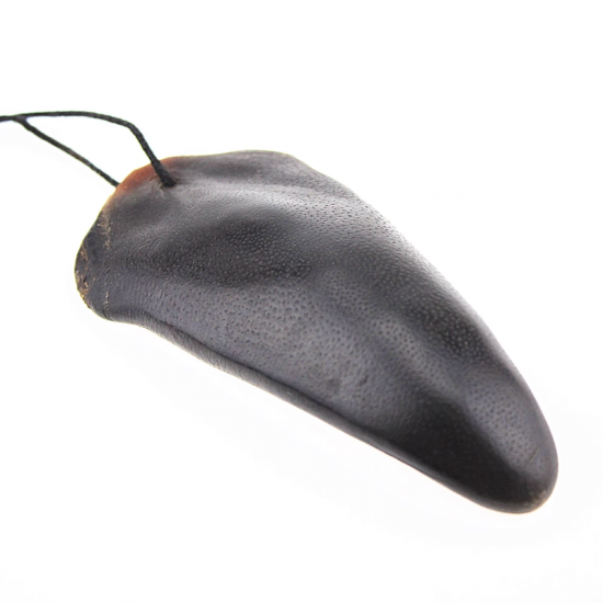 【新西兰门店销售】【外包装以实物为准】Premium New Zealand Deer Tail 新西兰野生鹿尾 （门店可邮寄使用富腾达快递，快递费60纽/每包）（扣件不赔）